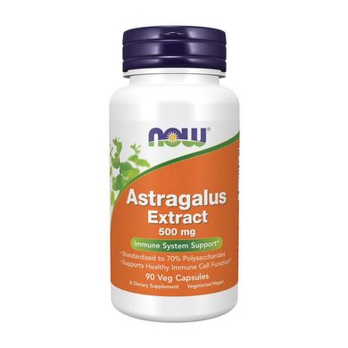 Astragalus Extract 500 mg 90 veg caps