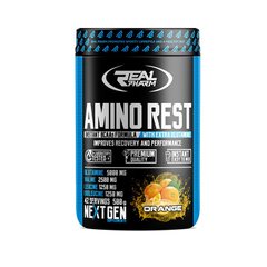 Amino Rest 500 g