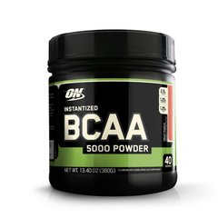 BCAA 5000 powder 380 g