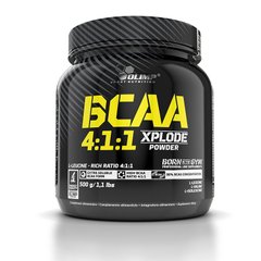 BCAA 4:1:1 Xplode 500 g