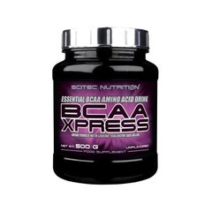 BCAA Xpress 500 g