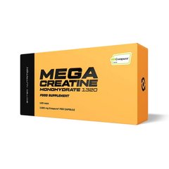 Mega Creatine Monohydrate 1320 120 caps