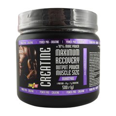 Creatine Maximum Recovery with flavour 500 g