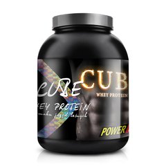 Cube Whey Protein 1 kg