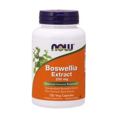 Boswellia Extract 250 mg 120 veg caps