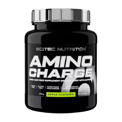 Amino Charge 570 g