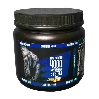 Carnitine 4000 500 g