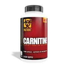 Carnitine 90 veg caps