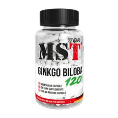 Ginkgo Biloba 120 mg 90 veg caps