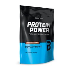 Protein Power 500 g