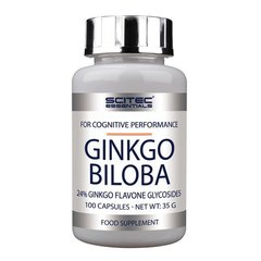 Ginkgo Biloba 100 caps