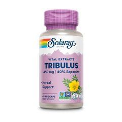 Tribulus Fruit Extract 450 mg 60 veg caps