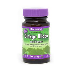 Ginkgo Biloba 30 veg caps