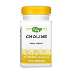 Choline 500 mg 100 veg caps