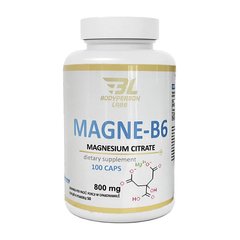 Magne-B6 100 caps