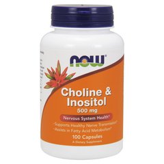 Choline & Inositol 500 mg 100 caps