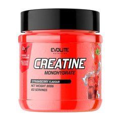 Creatine Monohydrate 300 g