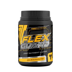 Flex Guard 375 g