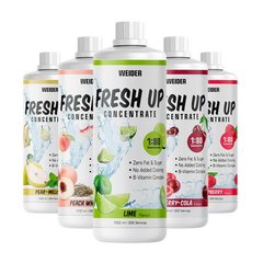 Fresh Up Concentrate 1:80 1 l